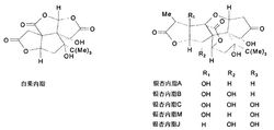 銀杏內酯的分子結構