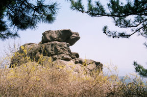 湯王山