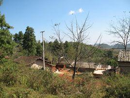 猴子洞村[雲南省丘北縣曰者鎮下轄村]