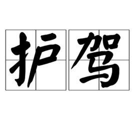 護駕[漢語詞語]