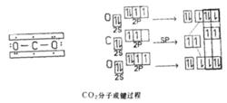 二氧化碳