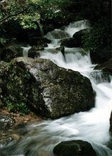 天目山景色