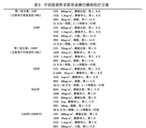 非霍奇金惡性淋巴腫瘤