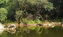 天井山森林公園