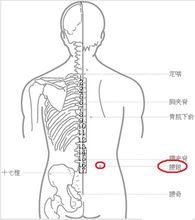 腰眼穴