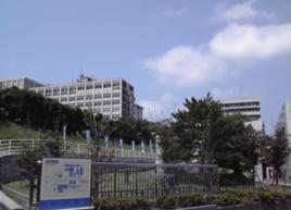 日本東和大學