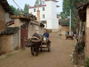 村內道路