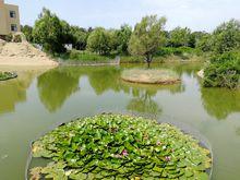 沙雕海洋樂園