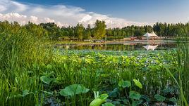 小龍河濕地公園