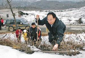 2008年龍志華(前)在桂北災區的照片