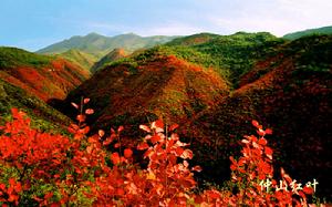 淳化仲山