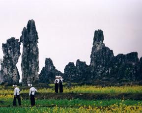 竹林堡石林