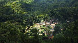 黃梅村[怒江州蘭坪縣營盤鎮黃梅村]