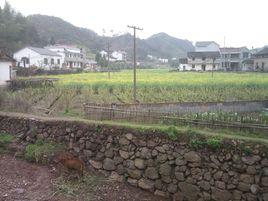 鄧家村[建德市更樓街道鄧家村]