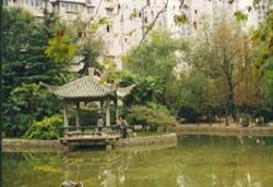 曹楊公園