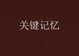 關鍵記憶[網路小說]