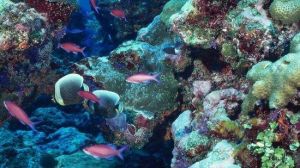 鑫海洋水族館