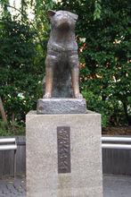 東京澀谷站八公銅像