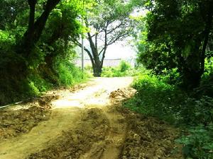 刺科寨自然村通村道路