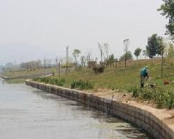 白沙河[珠江水系西江幹流鬱江西岸支流]