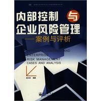 內部控制與企業風險管理：案例與評析