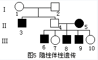 伴X染色體隱性遺傳