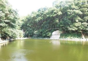 金鶚公園水上樂園