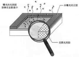 顯影液[光刻中所用的顯影液]