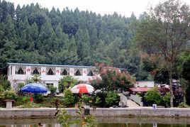 鐘山村[黑龍江穆稜市八面通鎮鐘山村]