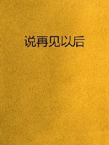 說再見以後[網路小說]