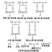 常見類型