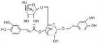 連翹酯苷
