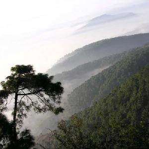 鄱陽獅子山