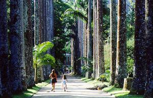 里約熱內盧植物園