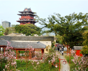 櫻花錦繡公園