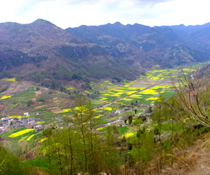 雙匯鎮