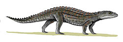 科瑪繪鱷想像圖