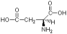 L-天門冬氨酸