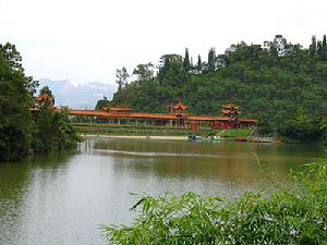 龍泉國家森林公園