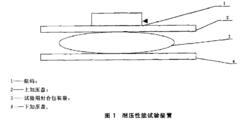 圖1 耐壓性能試驗裝置