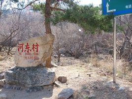 河東村[安徽省肥西縣高劉鎮河東村]