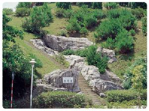 深圳仙湖植物園