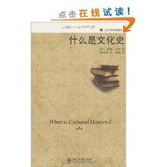 《什麼是文化史》