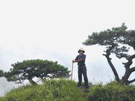 范陽[中國山水畫家、國家一級美術師]