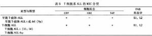 （圖）兒童急性淋巴細胞性白血病