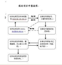 縱向項目申報流程