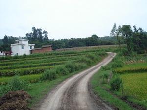 石榴園村[宜良縣北古城鎮鳳萊村民委員會下轄村]