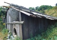 （圖）一幢重建的尤羅克族房舍，以紅木板作為建材