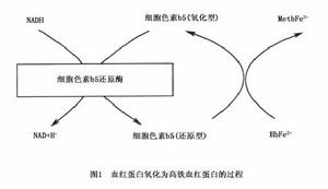 中毒性高鐵血紅蛋白血症