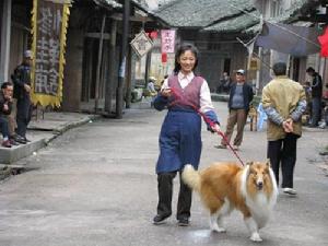 《身份的證明》